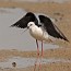 thumbs/IMG_6049.jpg